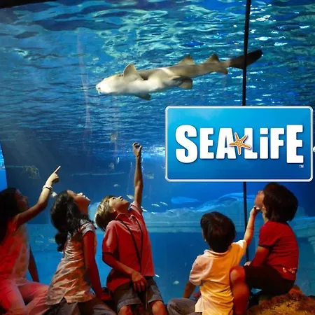 Apartman Village Ii *